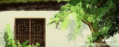 屋前不栽桑屋后不栽柳是什么意思 桑树为什么不能种房后