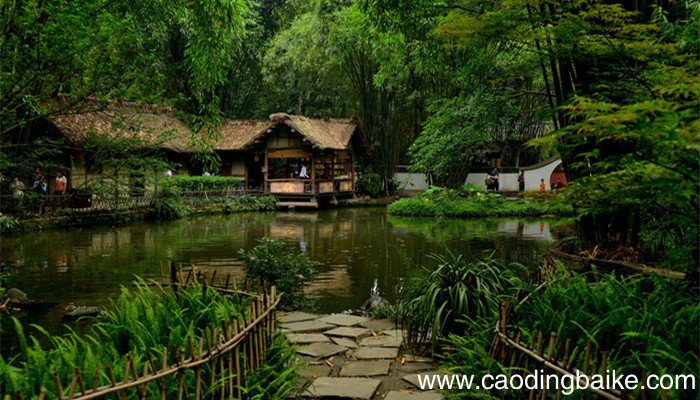 绝句中鸣叫的黄鹂飞翔的白鹭高山的什么 绝句表达的思想感情