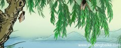 蝉古诗的意思和诗句 蝉古诗的诗意