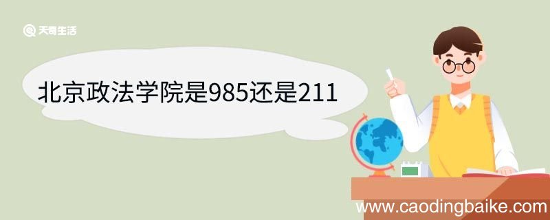 北京政法学院是985还是211 中国政法大学王牌专业