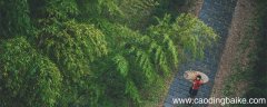 春归何处寂寞无行路的意思 春归何处寂寞无行路出自哪里