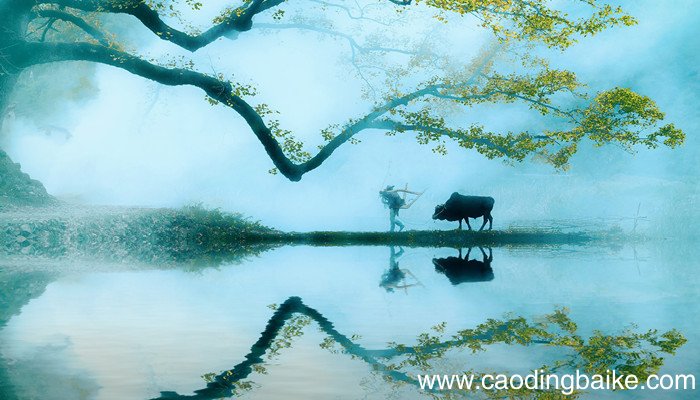 春归何处寂寞无行路的意思 春归何处寂寞无行路出自哪里