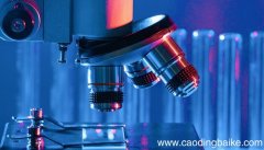 参与细胞膜易化扩散的蛋白质是 参与细胞膜易化扩散的蛋白质是