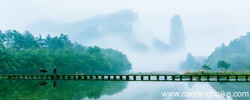 云水禅心表达什么感情云水禅心表达了什么情感