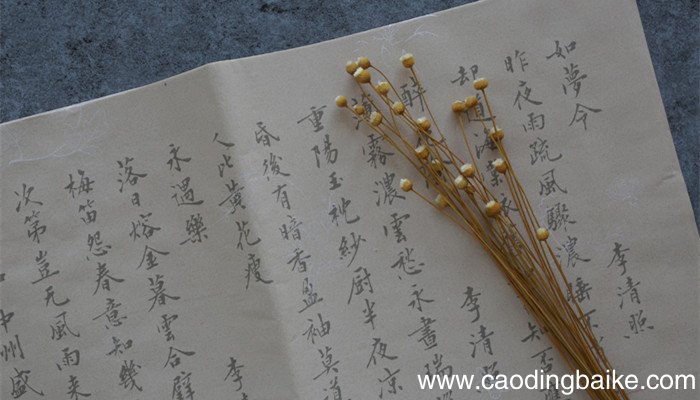扁担的读音到底读几声 扁担的读音是读几声