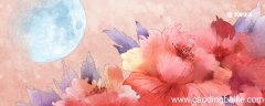 云想衣裳花想容春风拂槛露华浓的意思为谁写的 云裳衣裳花想容