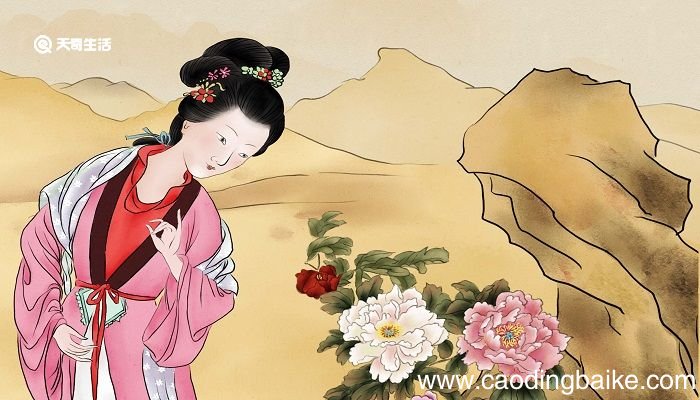 云想衣裳花想容春风拂槛露华浓的意思为谁写的 云裳衣裳花想容春风拂槛露华浓是为谁写的