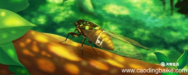 意欲捕鸣蝉下一句是什么欲意捕鸣蝉的欲是什么意思 意欲捕鸣蝉的欲的意思是什么