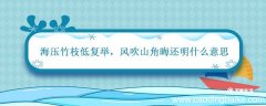 海压竹枝低复举 风吹山角晦还明什么意思 海压竹枝低复举风吹