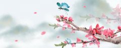 晚春表达了诗人怎样的情感 晚春表达诗人怎样的思想感情