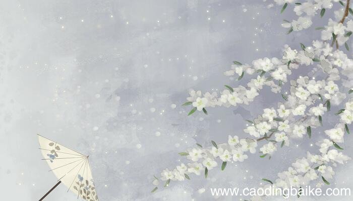 晚春表达了诗人怎样的情感 晚春表达诗人怎样的思想感情