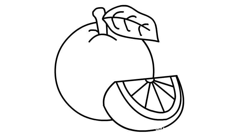 橙子简笔画 橙子简笔画怎么画
