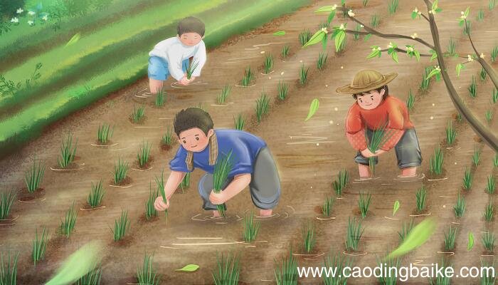 清平乐村居勾勒了一幅怎样的画面 清平乐村居描绘了一幅什么图