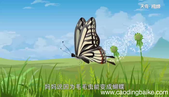 小蜗牛的故事告诉我们什么道理 蜗牛的故事给我们什么启示