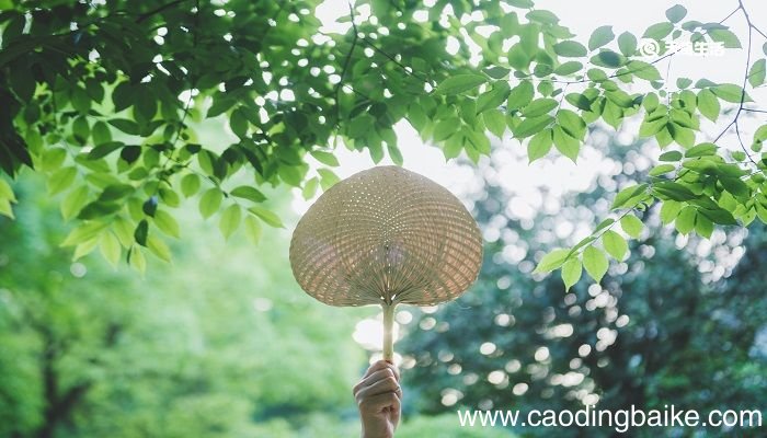 夏日炎炎的诗句 描写夏日炎炎的诗句