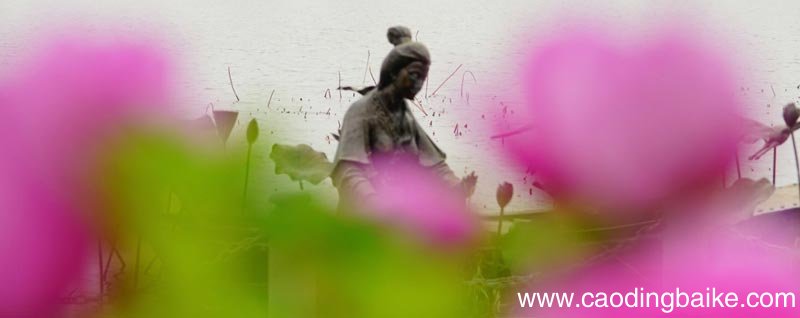 如梦令昨夜雨疏赏析 昨夜雨疏风骤诗歌鉴赏
