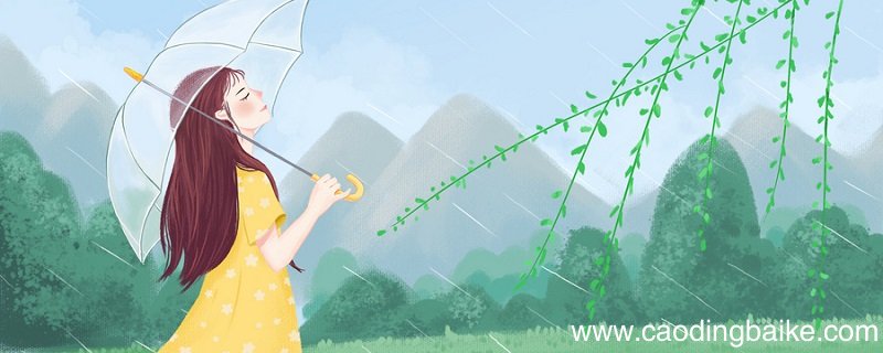柳枝词是写哪个时节的诗 柳枝词写的是哪个时节的诗