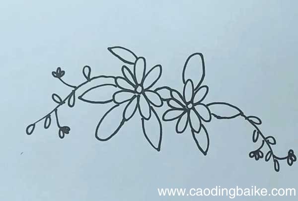 小黄花简笔画 黄花的画法