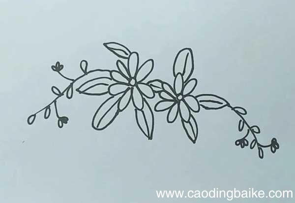 小黄花简笔画 黄花的画法