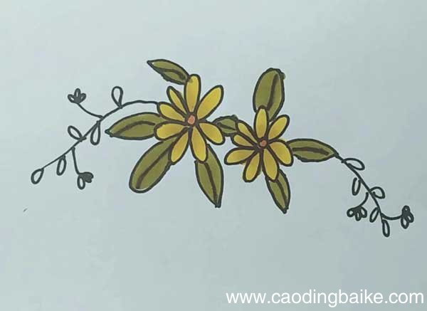 小黄花简笔画 黄花的画法