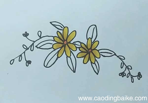 小黄花简笔画 黄花的画法