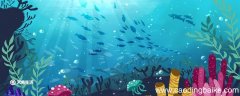 海底两万里第十五章概括 海底两万里第十五章内容概括