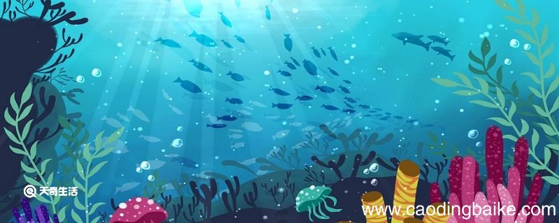 海底两万里第十五章概括 海底两万里第十五章内容概括