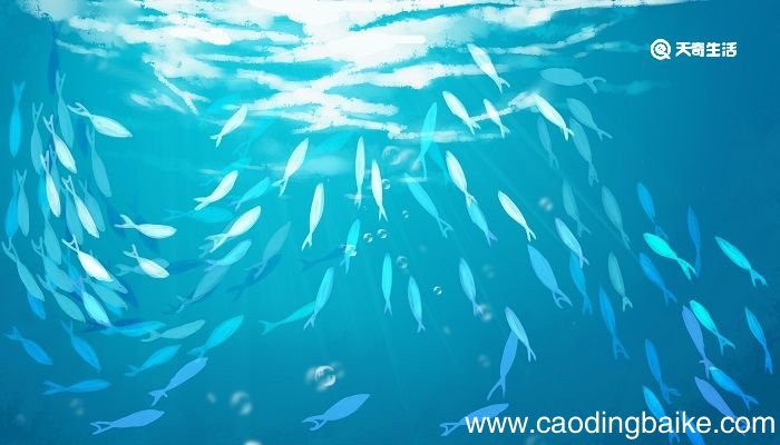 海底两万里第十五章概括 海底两万里第十五章内容概括