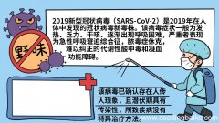 武汉病毒的手抄报怎么画武汉病毒的手抄报画法