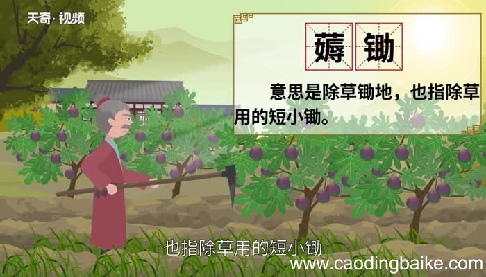 薅怎么读 薅的读音