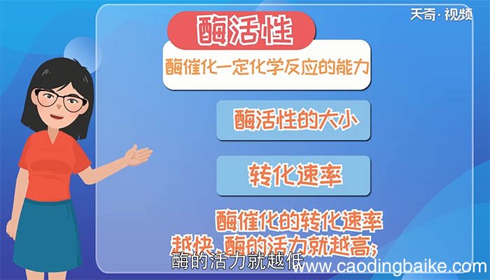 酶活性定义 酶活性的含义