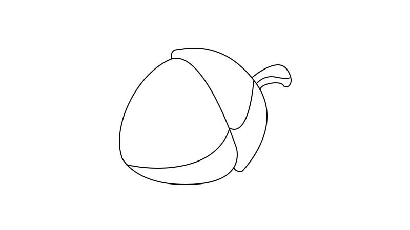 榛子简笔画 榛子简笔画步骤