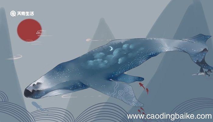 北冥有鱼借鲲鹏的寓言说明了什么道理 北冥有鱼的寓意说明了什么道理
