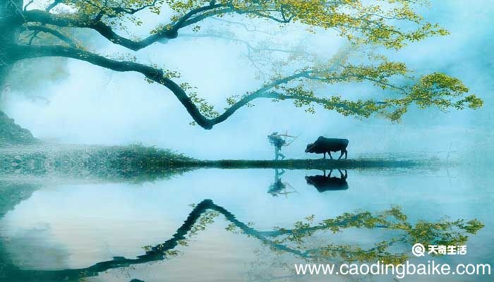 清平乐村居上阕写什么下阕写什么 清平乐村居上阕主要内容