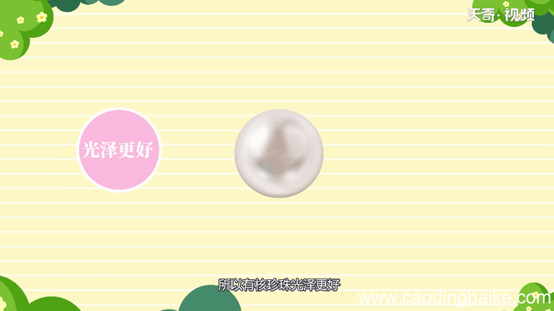 珍珠有核和无核的区别 珍珠有核和无核的差别