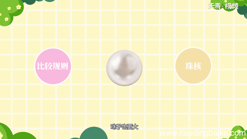 珍珠有核和无核的区别 珍珠有核和无核的差别