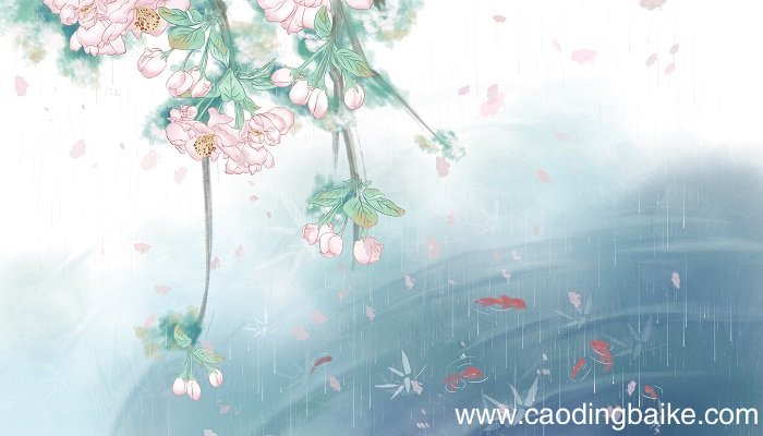 钱塘湖春行的作者是谁 钱塘湖春行的作者