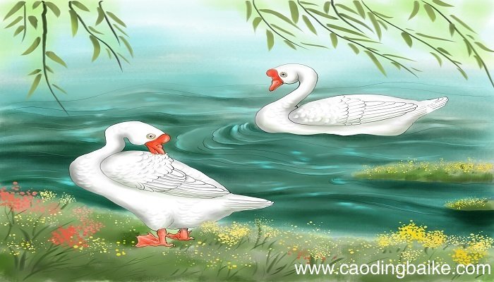 咏鹅里表示动作的词咏鹅这首诗中表示鹅的动作的词语有