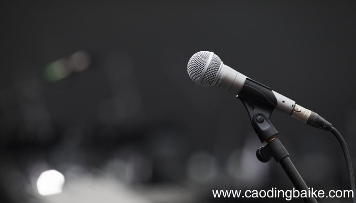循声望去和寻声望去的区别 循声望去的意思是什么