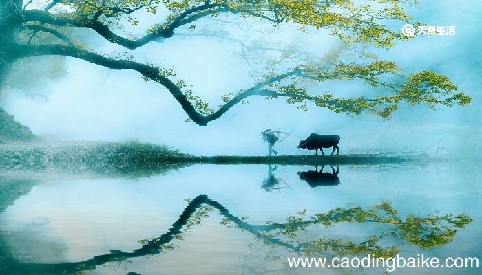 清平乐村居的译文和注释 清平乐·村居翻译成现代文