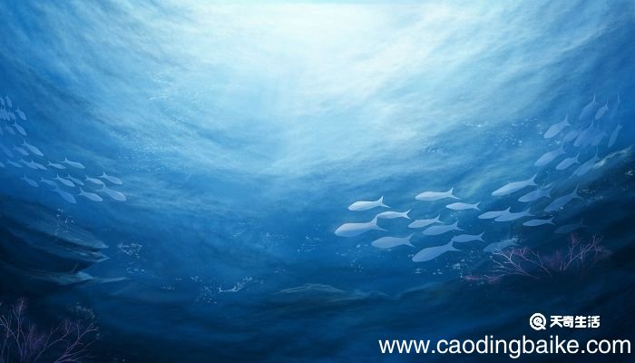 江上渔者的意思翻译 江上渔者古诗翻译和原文