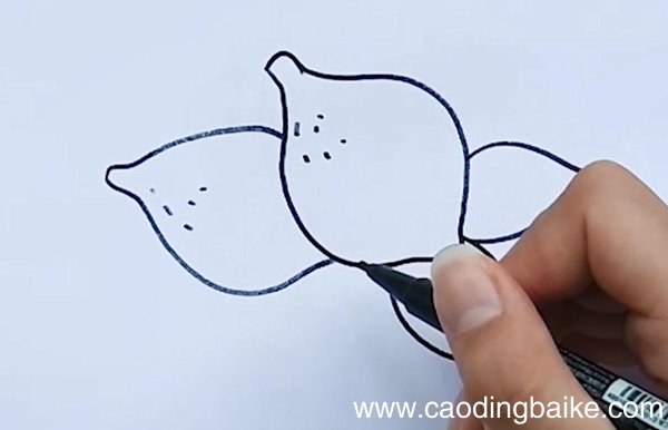 柠檬简笔画柠檬画法