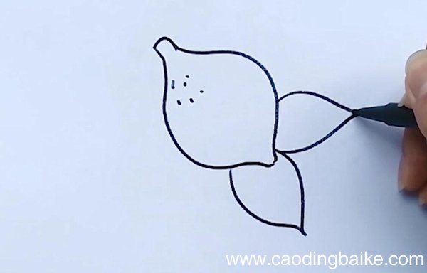 柠檬简笔画柠檬画法