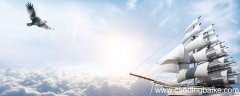 蜘蛛的启示告诉我们什么道理 蜘蛛给人的启示