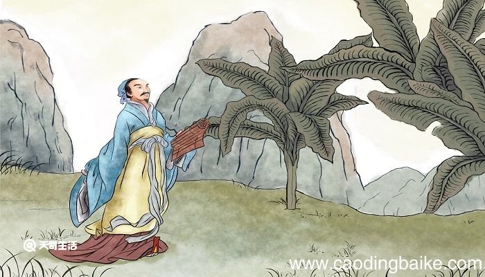 老臣病足曾不能疾走翻译 触龙说赵太后的翻译