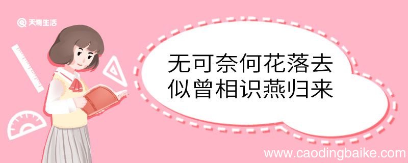 无可奈何花落去似曾相识燕归来意思 无可奈何花落去似曾相识燕归来翻译