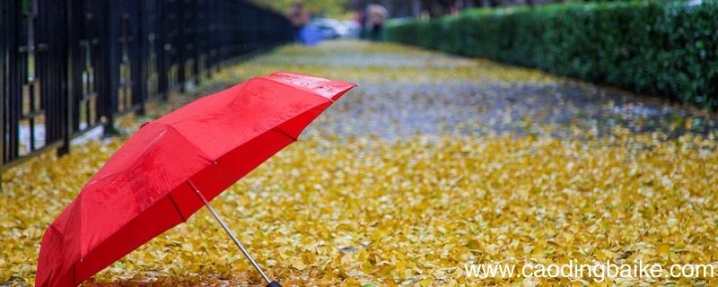 一场秋雨的拼音 一场秋雨的拼音怎么写