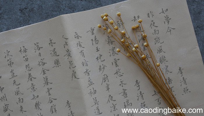 入木三分是哪个神话故事 入木三分是哪个神话故事的人物
