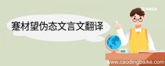 蹇材望伪态文言文翻译 蹇材望伪态的文言文翻译