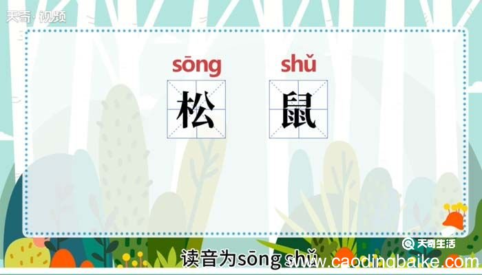 松鼠的意思 松鼠什么意思